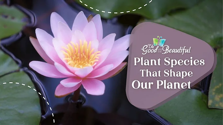Plant Species That Shape Our Planet | Kingdoms and Classification | The Good and the Beautiful