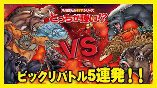 【どっちが強い！？】そんなのアリ!?クロヒョウvsマンドリルやオランウータンvsセンザンコウなどビックリバトル5戦を一気見!勝つのはどっちだ!?【漫画】 by KADOKAWA最強理科チャンネル 96,103 views 5 months ago 17 minutes