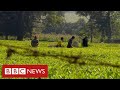 Kenya’s colonial inequalities continue, decades after independence  - BBC News