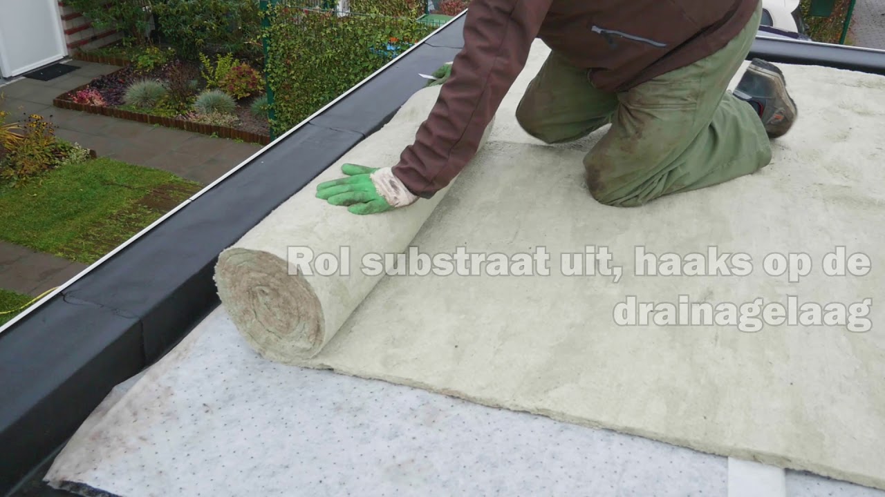 Groendakcoach: Instructies om zelf een groendak aan te leggen