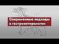 Гастроэнтерология. Современные подходы. Гастроскопия.