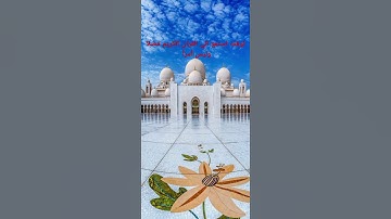 قراءة سورة الماعون للشيخ ياسرالدوسري