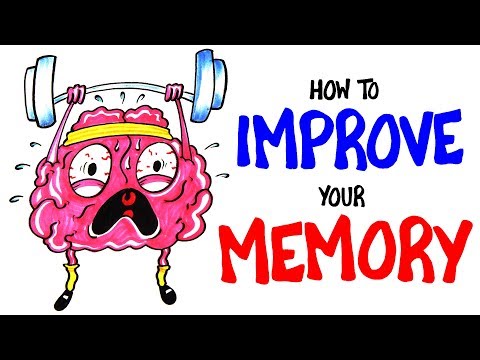 ⁣How to Improve Memory Fast!