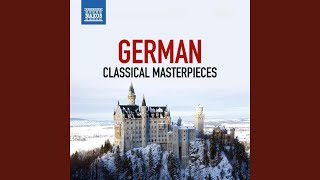 Symphony No. 3 in F Major, Op. 90: III. Poco allegretto