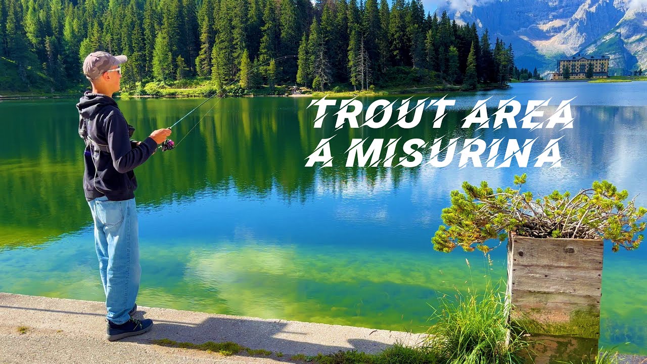 TROUT AREA al Laghetto di MISURINA - Spinning - SPINNING AND CARP
