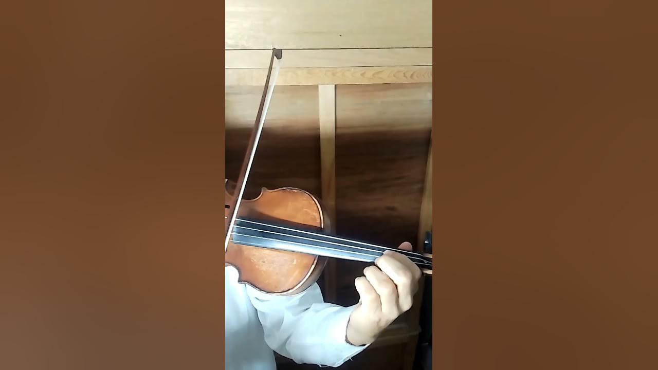 libro abierto, violín garibaldi YouTube