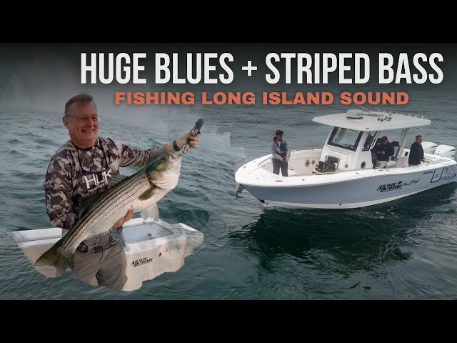 Striped Bass Fishing Long Island: Ultimate Guide to Big Catches