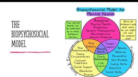 The Biopsychosocial Model - SACE Psychology