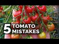 5 Tomato Grow Mistakes To Avoid