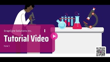 How to Set Up an Experiment in SnapCyte™ | AI-Powered Cell Image Analysis