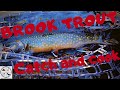 Catch and Cook : Maine Native Brook Trout In Baxter State (The Fly Crate)