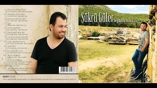 Şükrü Güler - Değilmiş Alın Yazım Resimi