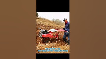 Máy cày chạy ruộng đồi dốc, ruộng bậc thang 2 cầu chạy xăng  #nông_nghiệp #may #dongco #shorts