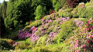 OASI ZEGNA CONCA DEI RODODENDRI 2023  Canon m6mkii video 4k by ph Leonardo S  C