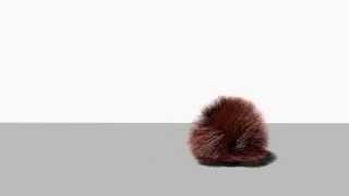 Maya Fur Dynamics Squash, Stretch, And Roll Test.