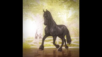 Back🔥// Collab w- @MaX1m._650r // #horse #edit #sso #edit #viral #collab #blowup