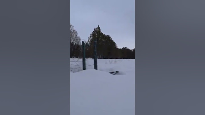 Невероятная секретная землянка в лесу #shorts