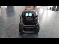 Robot vector anki mini test version franaise