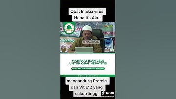 manfaat lele untuk obat hepatitis