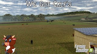 Running and Managing My $10.5M Cattle Farm screenshot 4