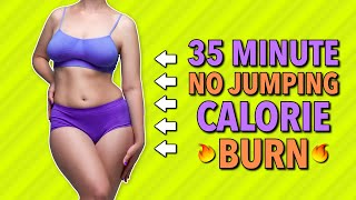 Full Body Fusion Workout! 35 Minutes of NO JUMPING Calorie Burn