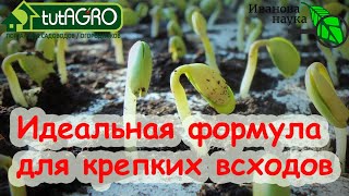 ВЗОЙДУТ СЕМЕНА ЩЕТКОЙ! Уникальная НОВАЯ формула БУДИЛЬНИКА даже для СТАРЫХ и ДОРОГИХ семян!