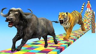 Tiger Chase Buffalo Escape in Fruits Mario Game Style | Squid Doll Save Giant Buffalo Vs Tiger Fight screenshot 1