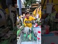 ジャカルタで100円のサトウキビ🇮🇩#streetfood #indonesia