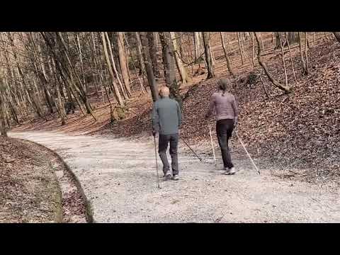 Video: Nordic Walking En Afvallen