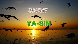SOURAT YASSIN : la plus belle récitation du Coran de la sourate Yasin