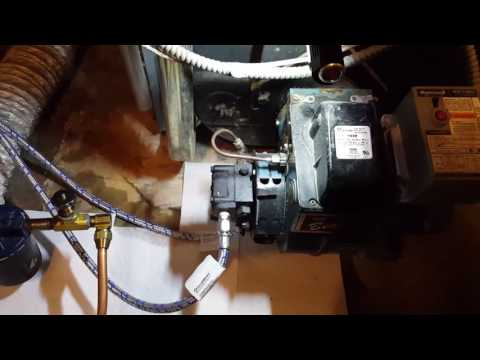 Video: Dab tsi yog Tiger Loop ntawm lub boiler?