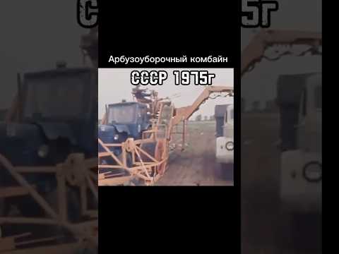 Арбузоуборочный комбайн. СССР 1975г #арбузы #уборка #ссср #комбайн #авто #automobile #шортс #shorts