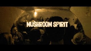 Charley Horse and the Cramps - MUSHROOM SPIRIT Live @ Port Royale 2016 - CHATC