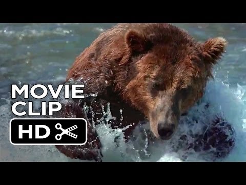 Bears Movie CLIP - Fishing Fails (2014) - Disneynature Documentary HD