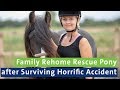 Family Rehome Rescue Pony after Surviving Horrific Accident