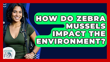 How Do Zebra Mussels Impact The Environment? - Chasing Big Fish