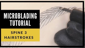 Microblading Hair Stroke ( SPINE 3 TUTORIAL)