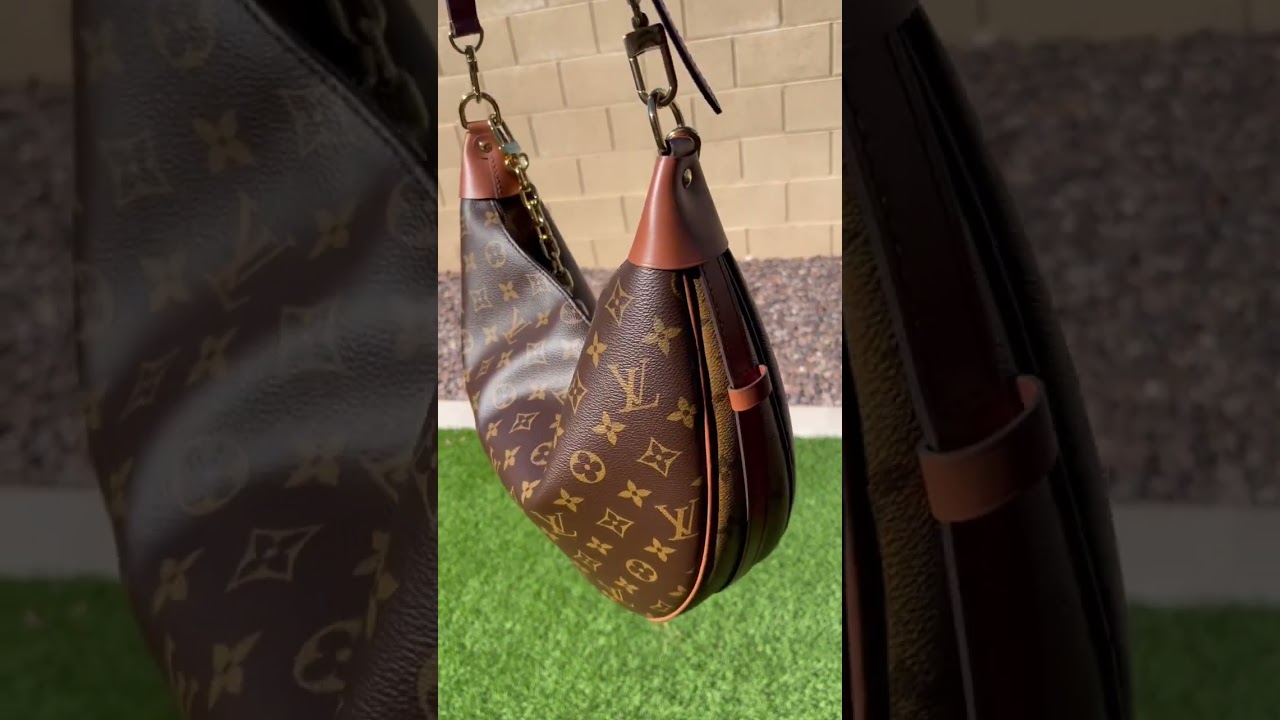 New Bag🎉. Louis Vuitton Loop Hobo Unboxing! My Thoughts , What Fits , Mod  Shots/ StardustLV 