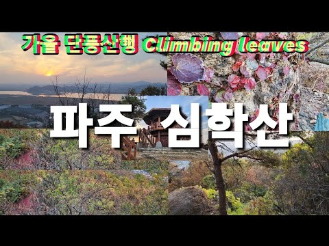 [가을 산행 - 심학산]파주 심학산 가을 단풍산행 - 둘레길과 정상의 심학정까지 7km가을 산행,Shimhaksan Mountain autumn leaves climbing