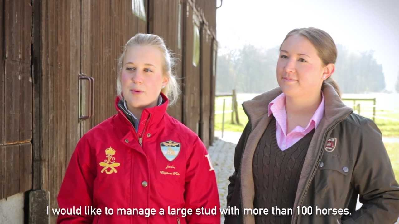 video phone beyonce mp3 Unusual Study Programmes: Equine Management