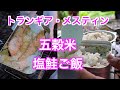 【トランギア・メスティン】五穀米・塩鮭ご飯　炊いてみた　trangia Messtin cooking