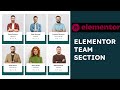 5 MINUTES to a STUNNING Team Section in WordPress with Elementor