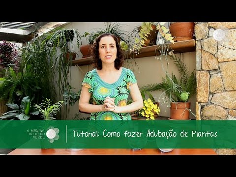 Vídeo: Como fazer as plantas de Brugmansia florescerem