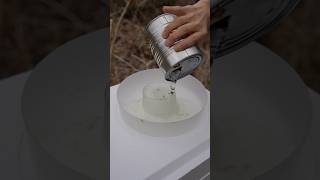 The Primal Beehive Feeding system #Bees #beekeeping #feeder #beehive #primalbeehive