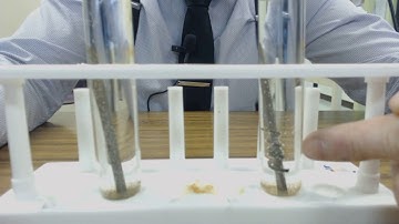 Iron Nail with a Sacrificial Anode