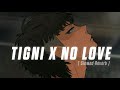 No Love X Tigini Slowed Reverb Slowedholic