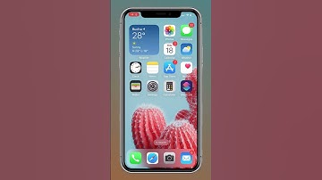 How to turn off automatic APP Updates on the iPhone?