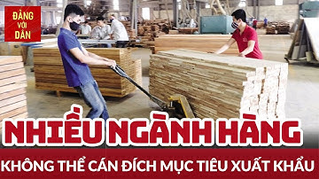 Xuất khẩu năm 2023: Nhiều ngành hàng lỡ hẹn mục tiêu | Tâm điểm Kinh tế | Đảng với Dân