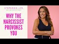 Why Does a Narcissist Provoke You | Stephanie Lyn Coaching