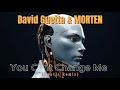 David guetta  morten  you cant change me vantiz remix